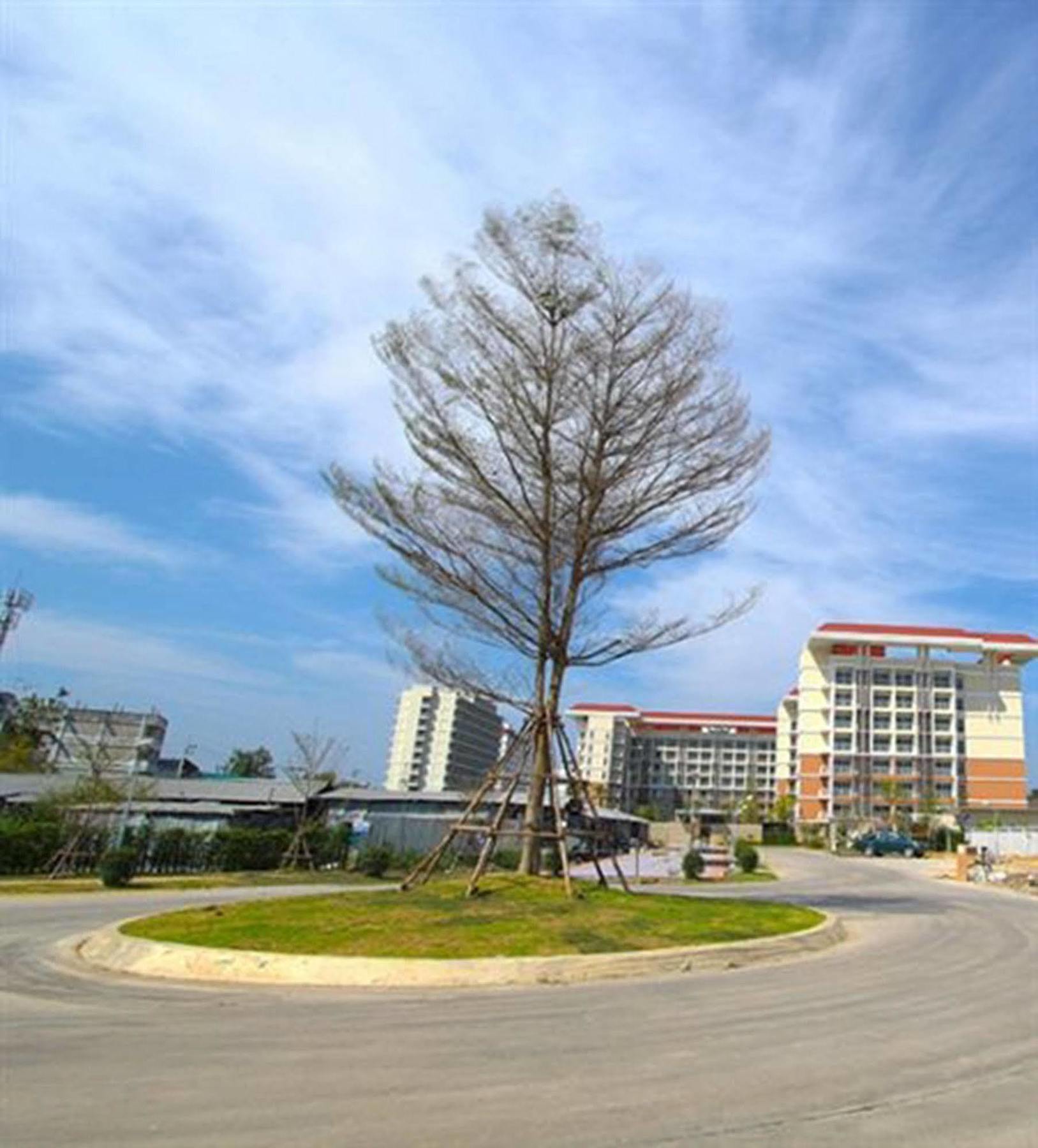 Grow Residences Bangkok Extérieur photo